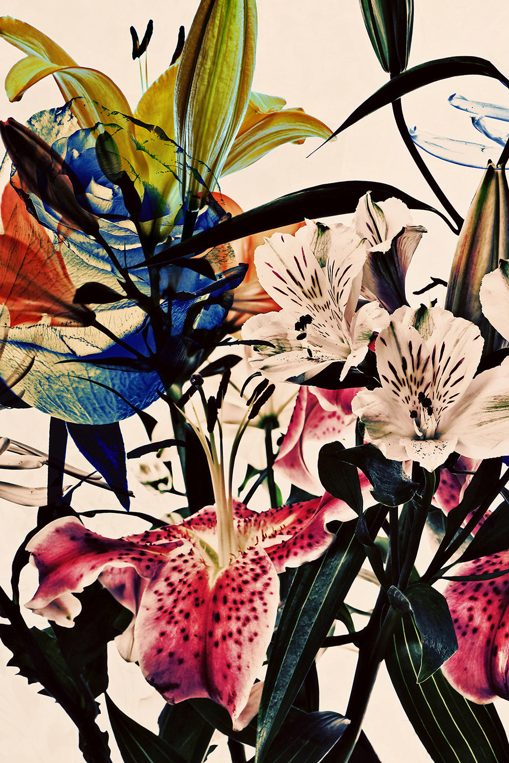 Wild Flowers Triptych 9264.3SET