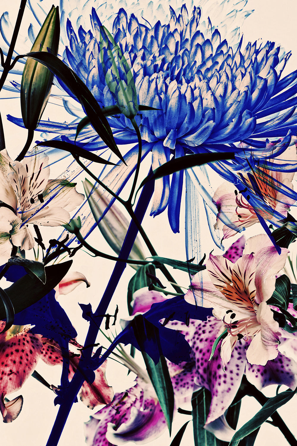 Wild Flowers Triptych 9264.3SET