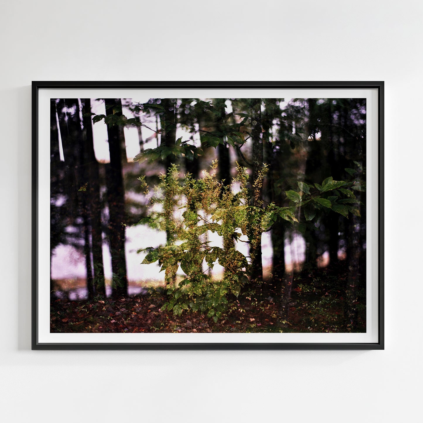 Scooby Doo Where Are You?