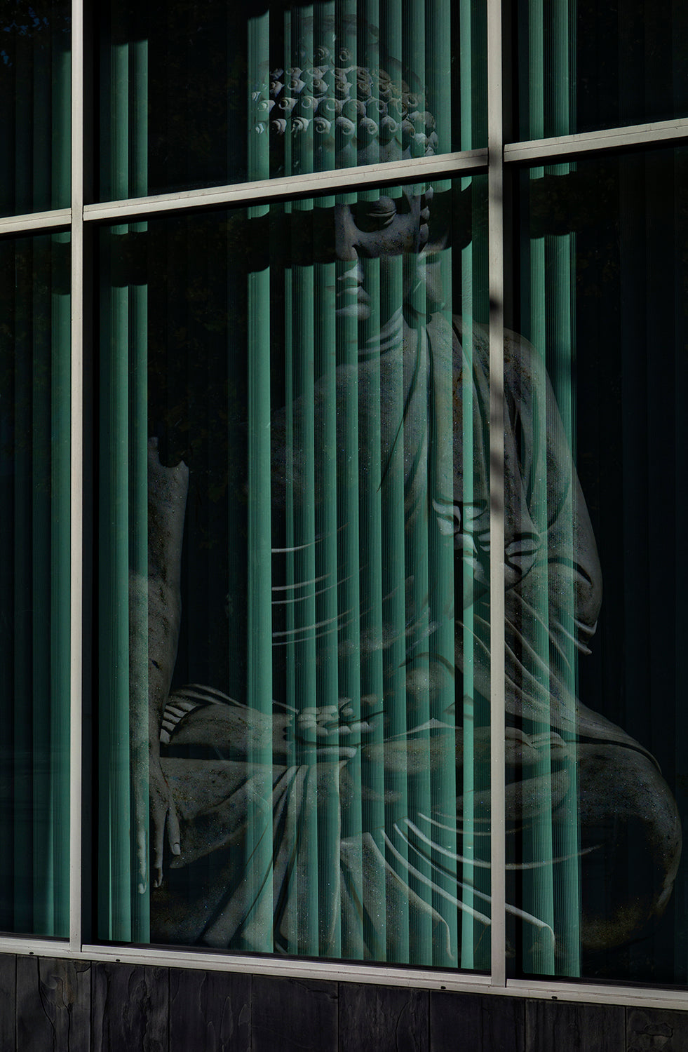 The Friend In The Window