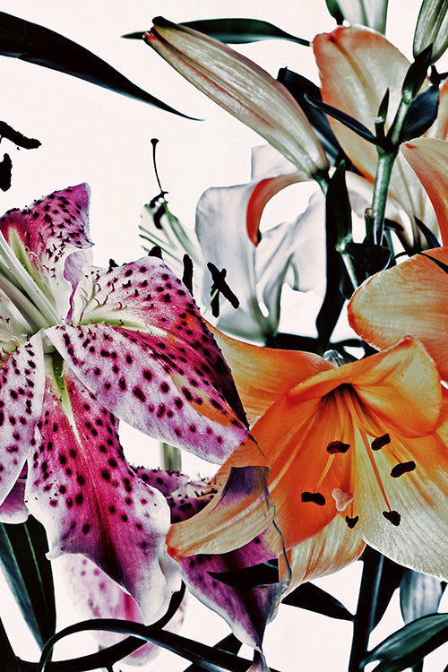 Wild Flowers Set of 2 WF9161D