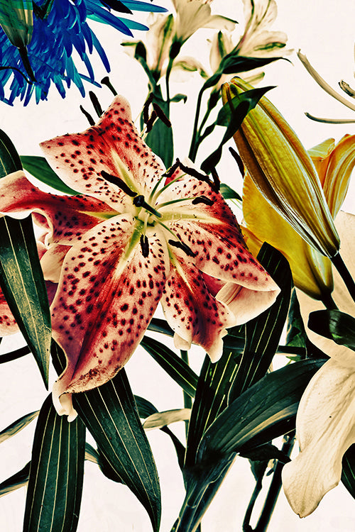 Wild Flowers Triptych 9165.3SET