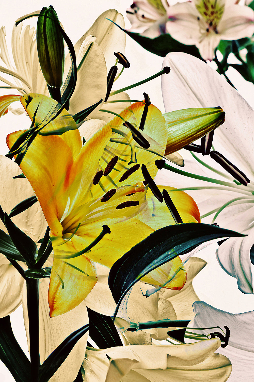 Wild Flowers Triptych 9165.3SET