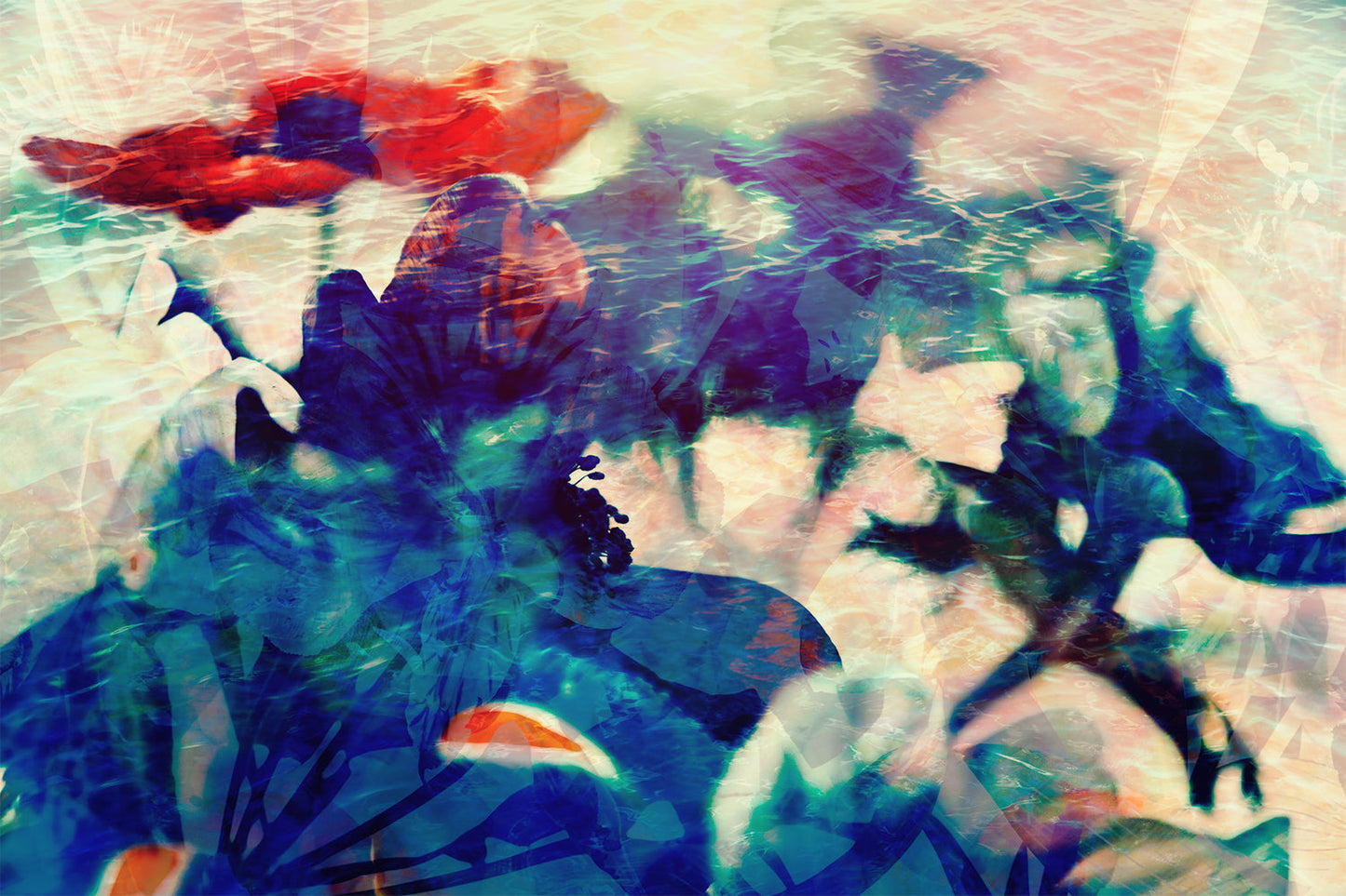 Memory Of Water 352H