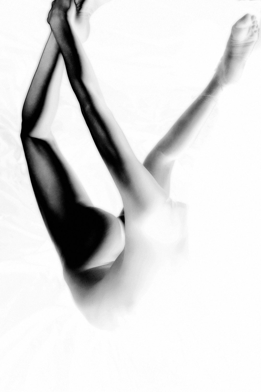 Dancing In The White 440