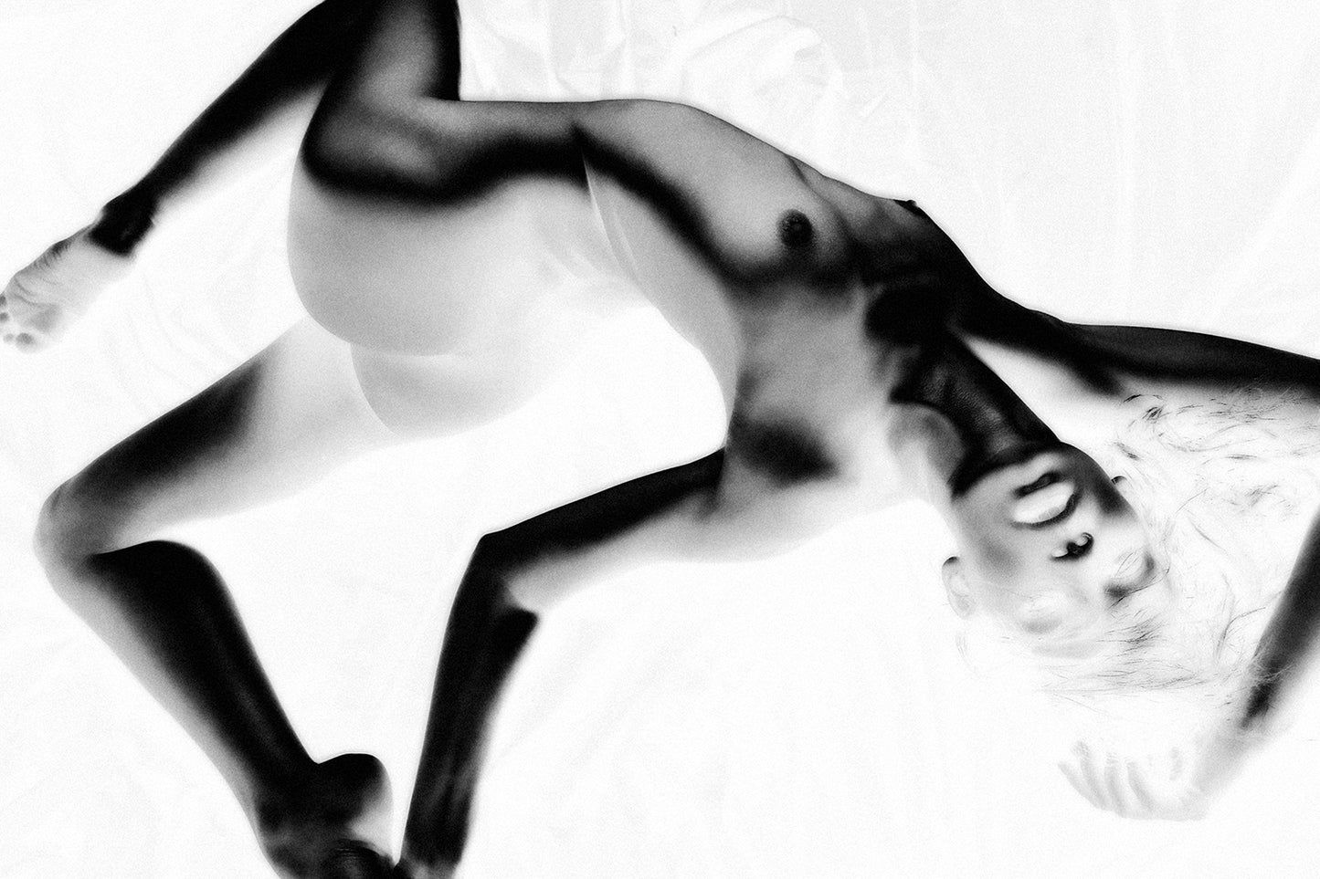 Dancing In The White 473