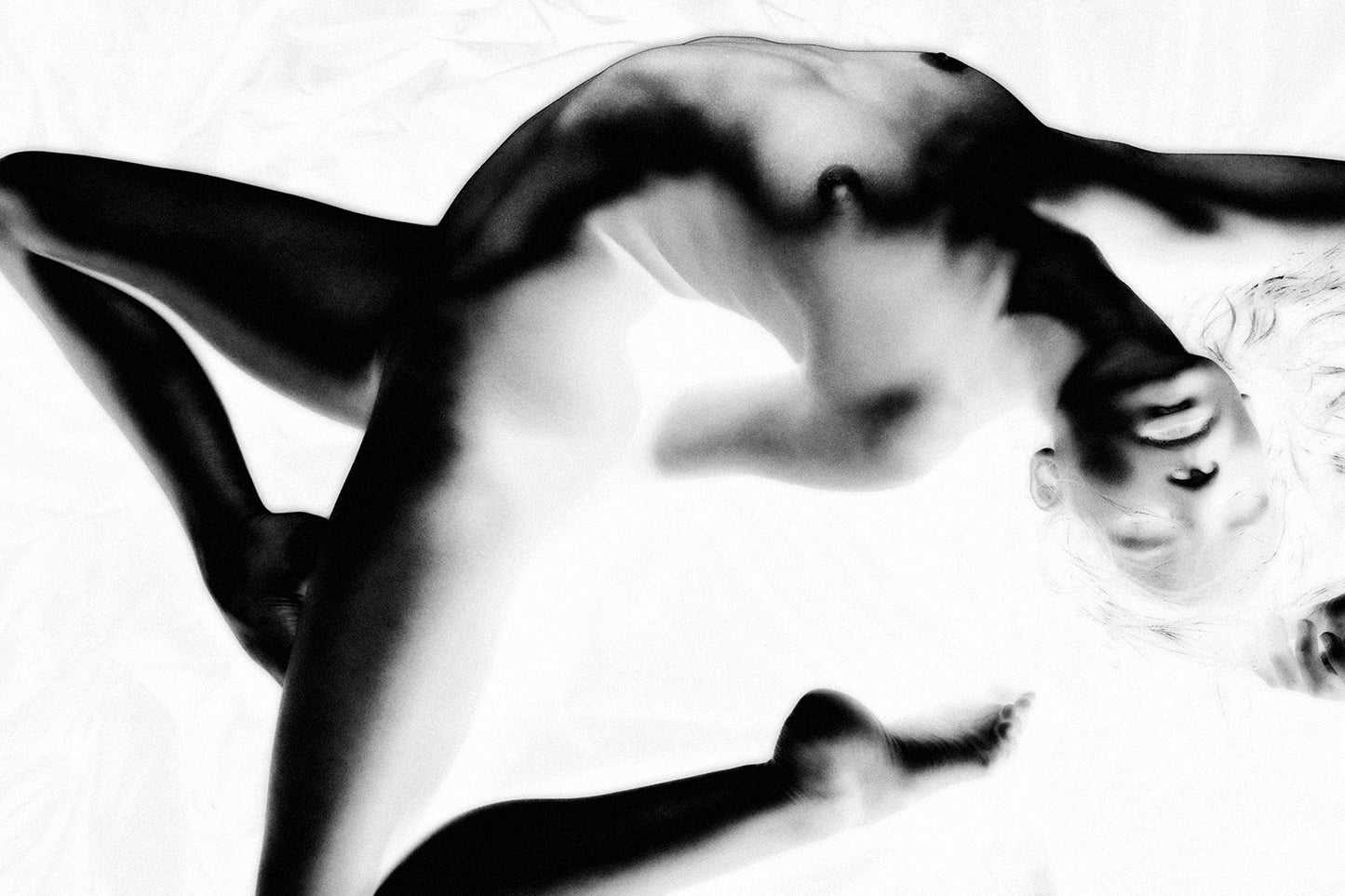 Dancing In The White 476