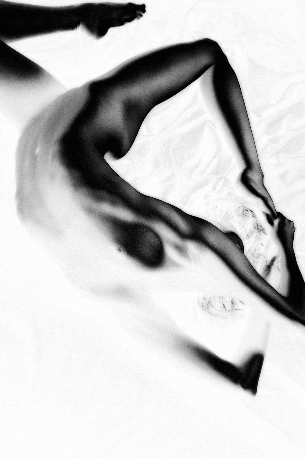 Dancing In The White 480