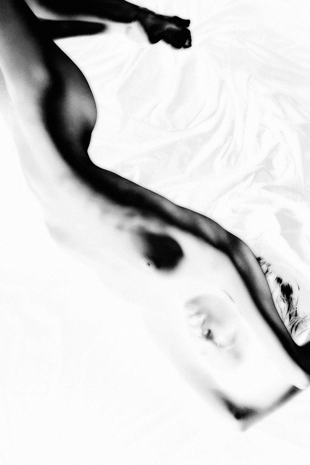 Dancing In The White 482