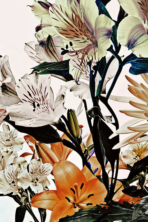 Wild Flowers Triptych 9172.3SET