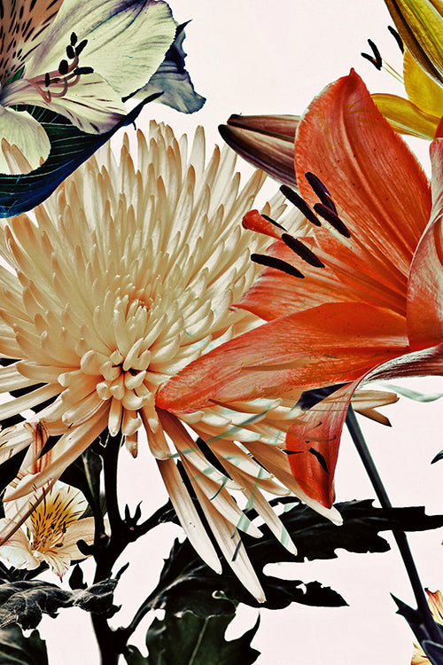 Wild Flowers Triptych 9172.3SET