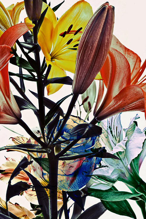 Wild Flowers Triptych 9172.3SET