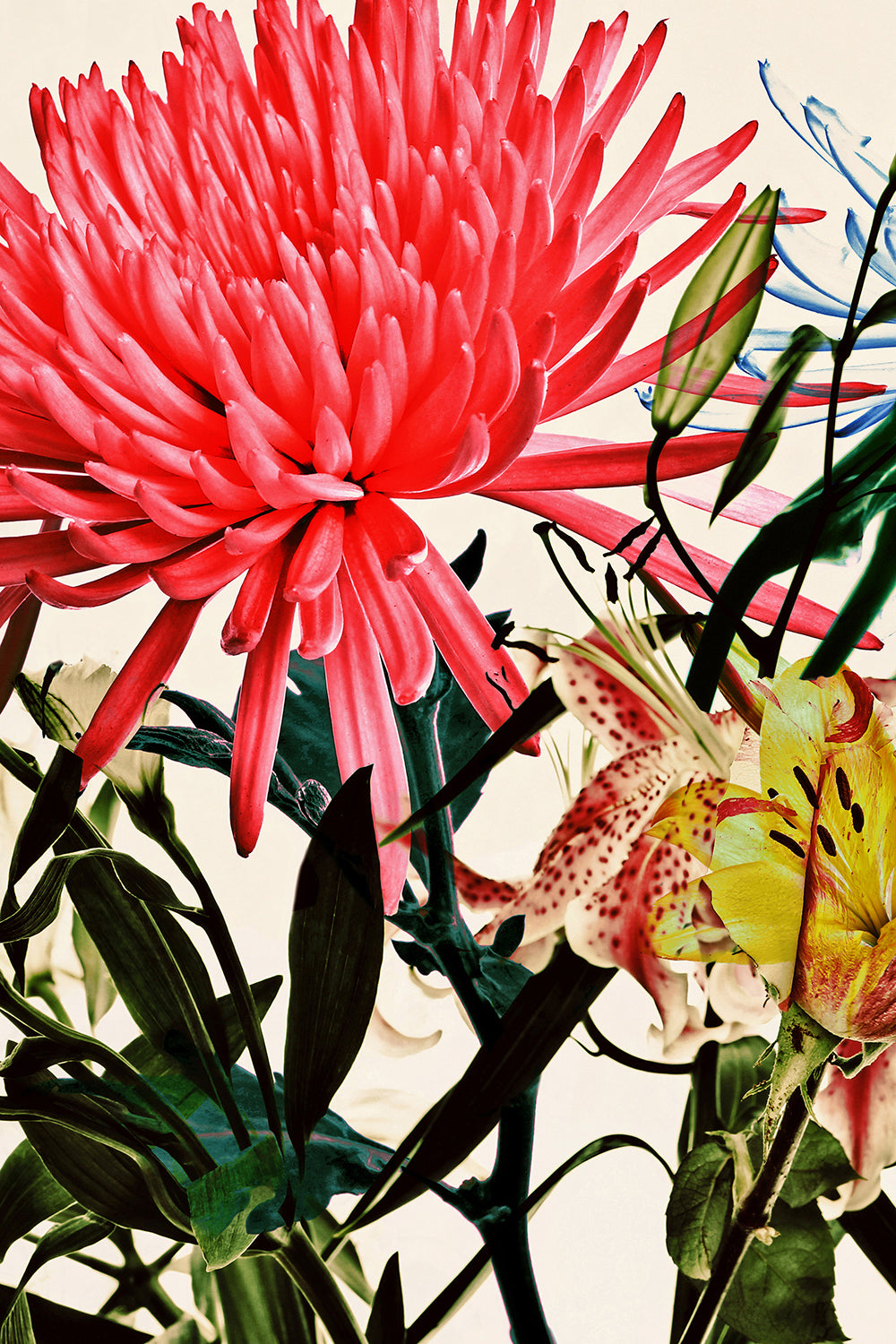 Wild Flowers Triptych 9183.3SET