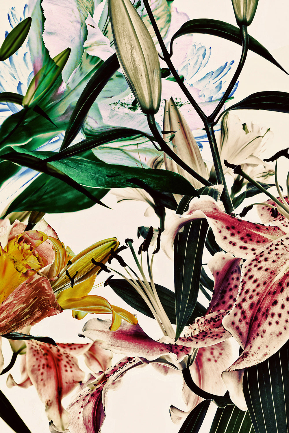 Wild Flowers Triptych 9183.3SET