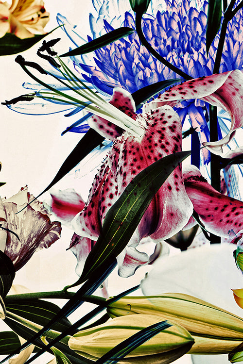 Wild Flowers Triptych 9198.3SET