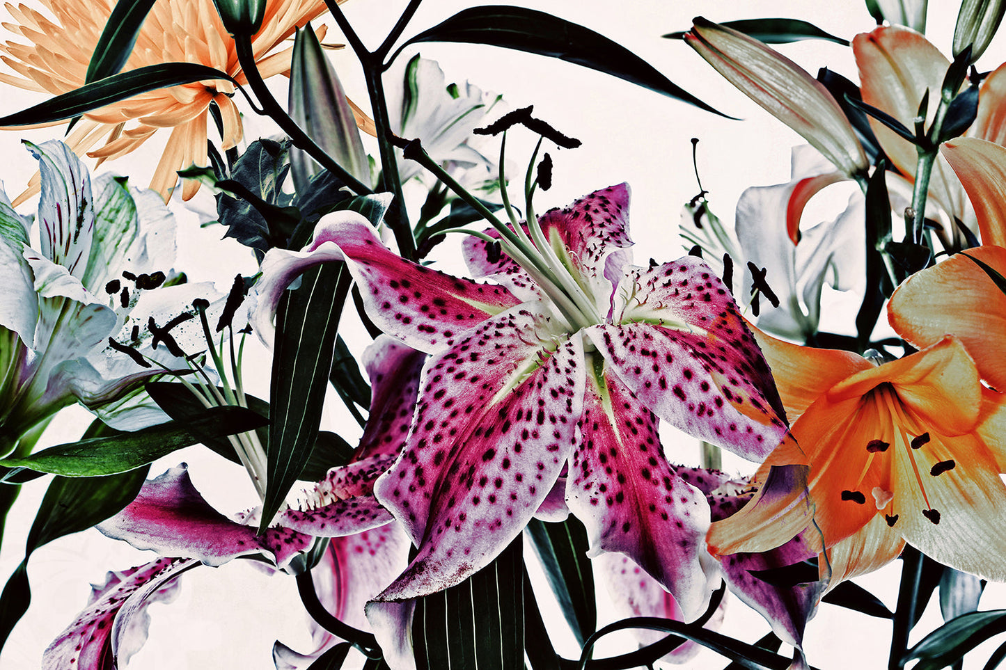 Wild Flowers - 9161.23