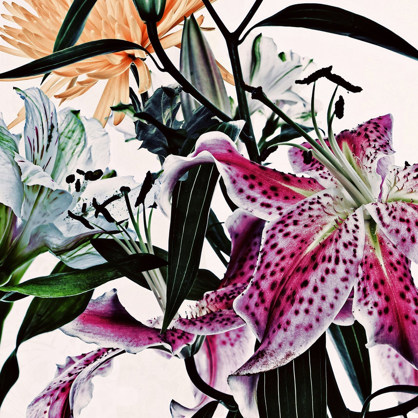 Wild Flowers 9161A.SQUARE