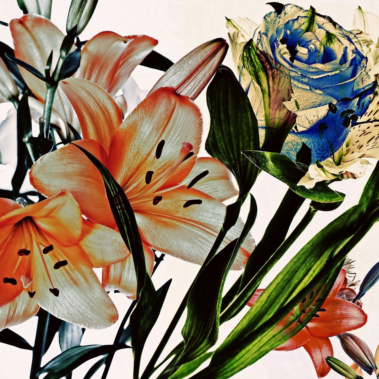 Wild Flowers 9161.B.SQUARE – Lev Gorn Studio