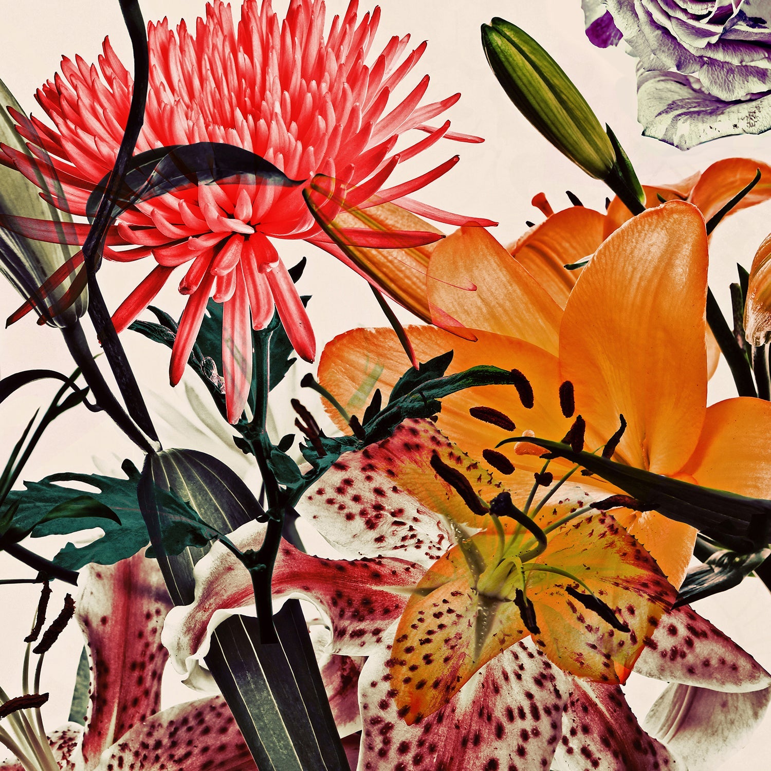 Wild Flowers 9197.1SQUARE – Lev Gorn Studio