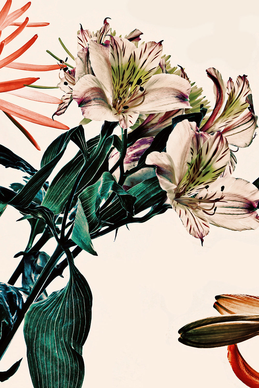 Wild Flowers Triptych 9262.3SET