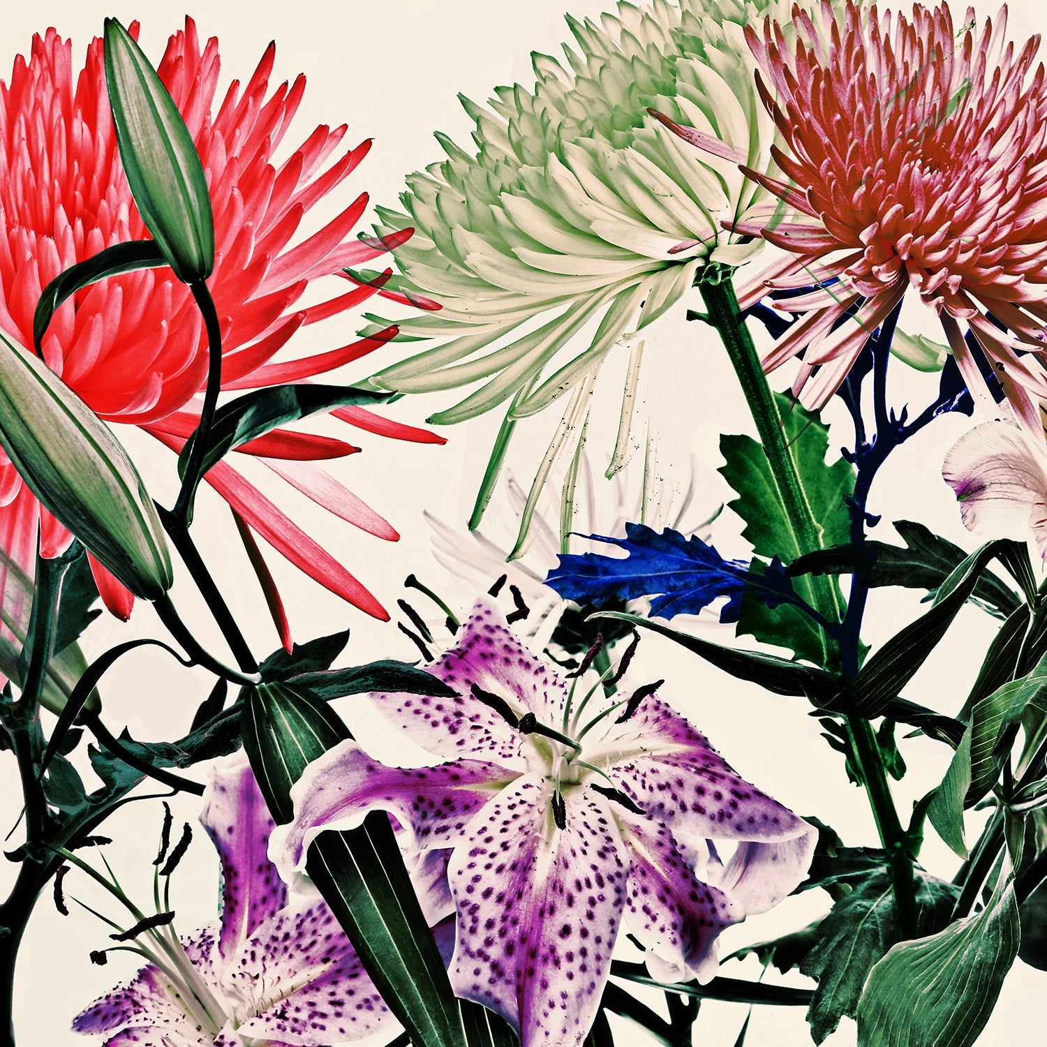 Wild Flowers 9263A.SQUARE – Lev Gorn Studio