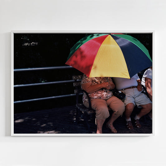 Fabulously Incognito