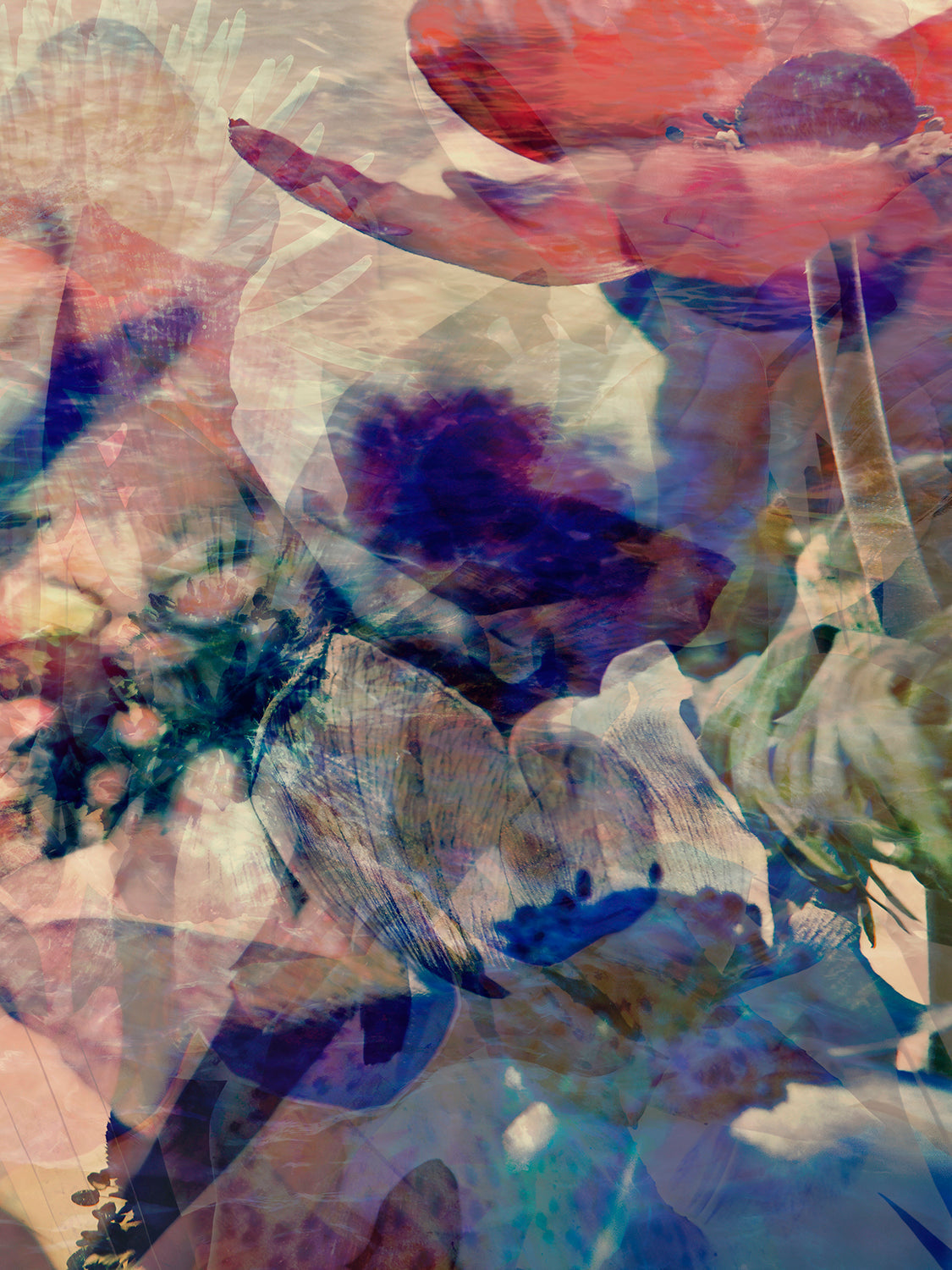 Memory Of Water 311.2.3X4V