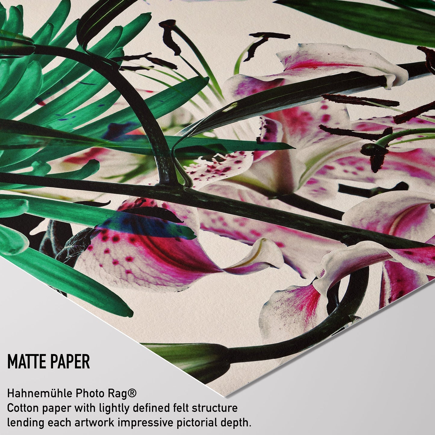 Wild Flowers Triptych 9263.3SET