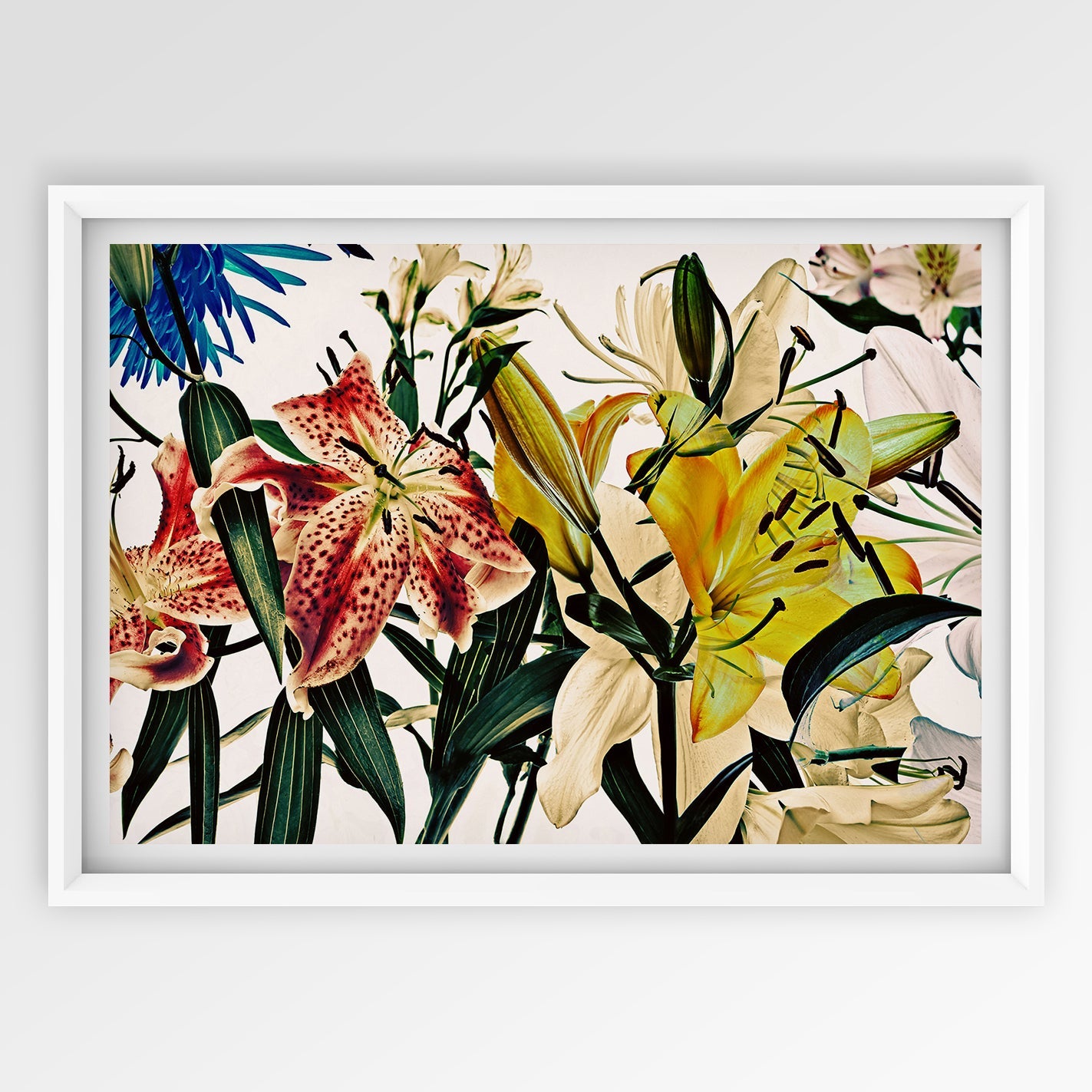 Horizontal Wild Flowers 9165.23