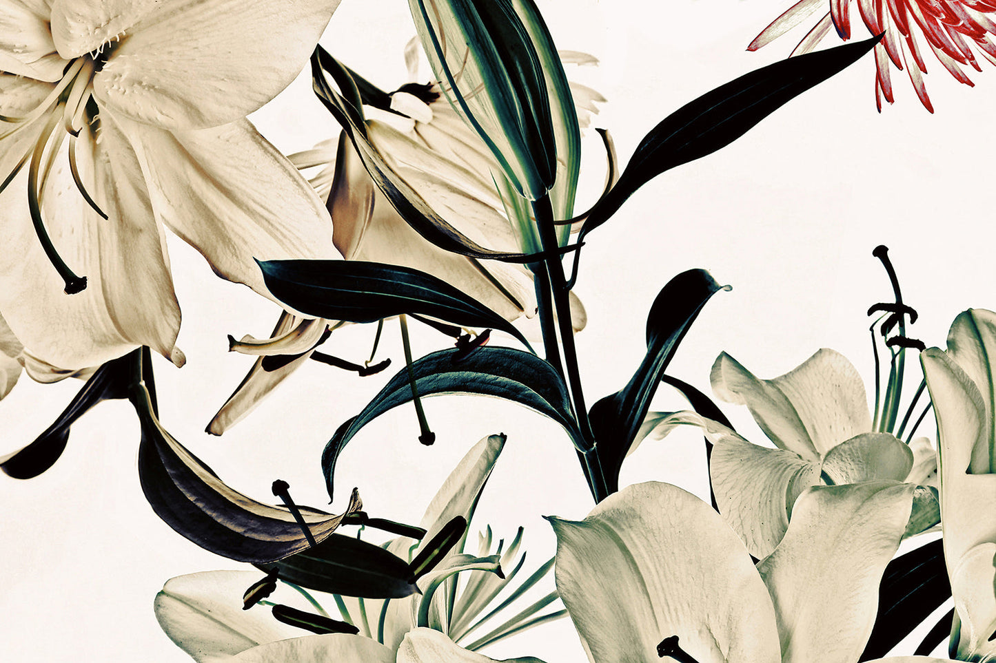 Horizontal Wild Flowers 9168.23