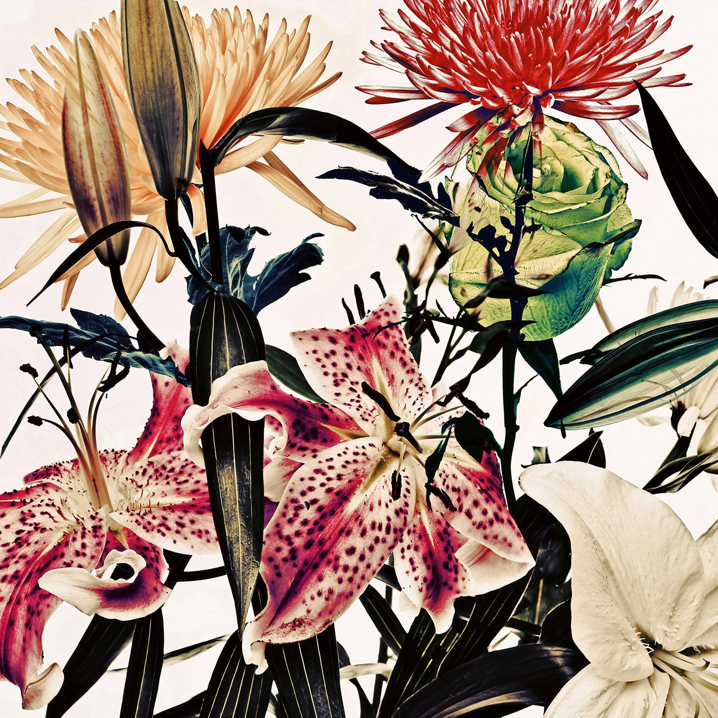 Wild Flowers 9168.SQUARE.1