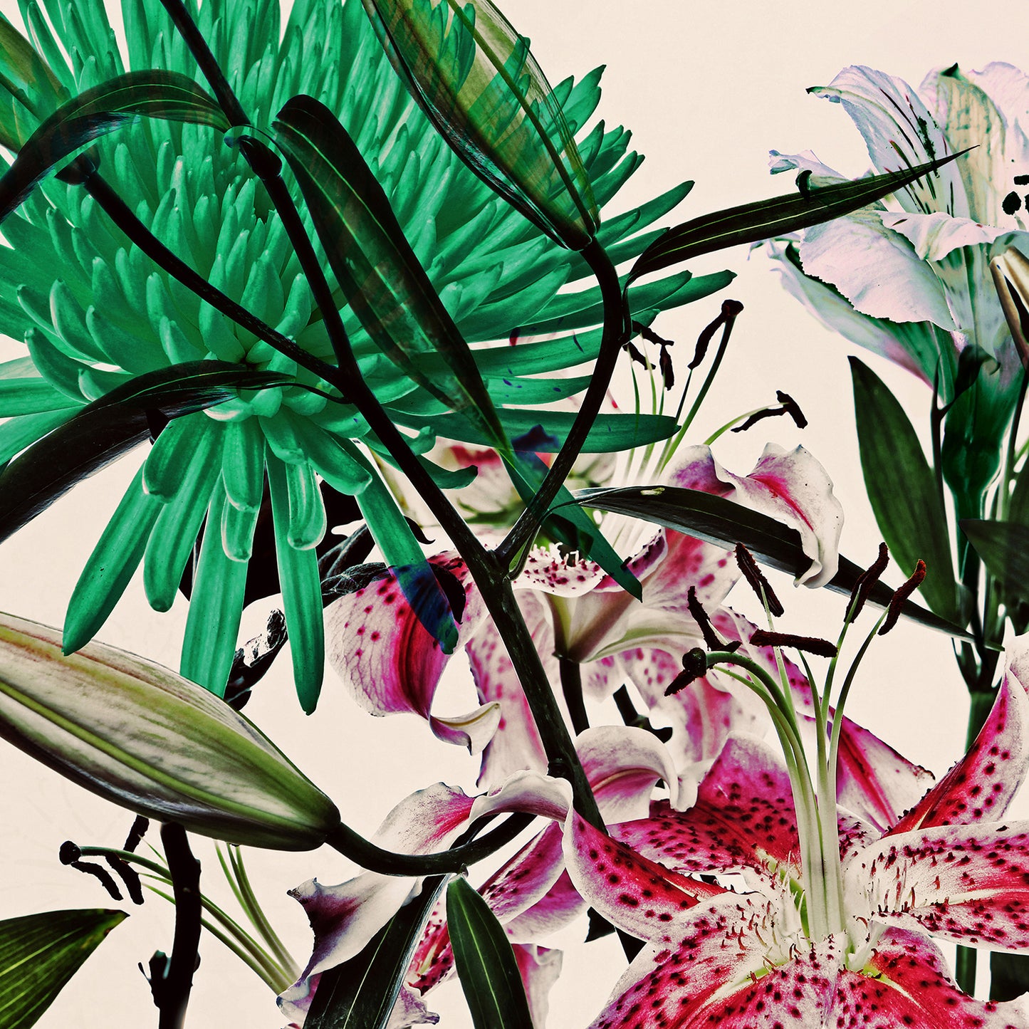 Wild Flowers 9197.SQUARE.3