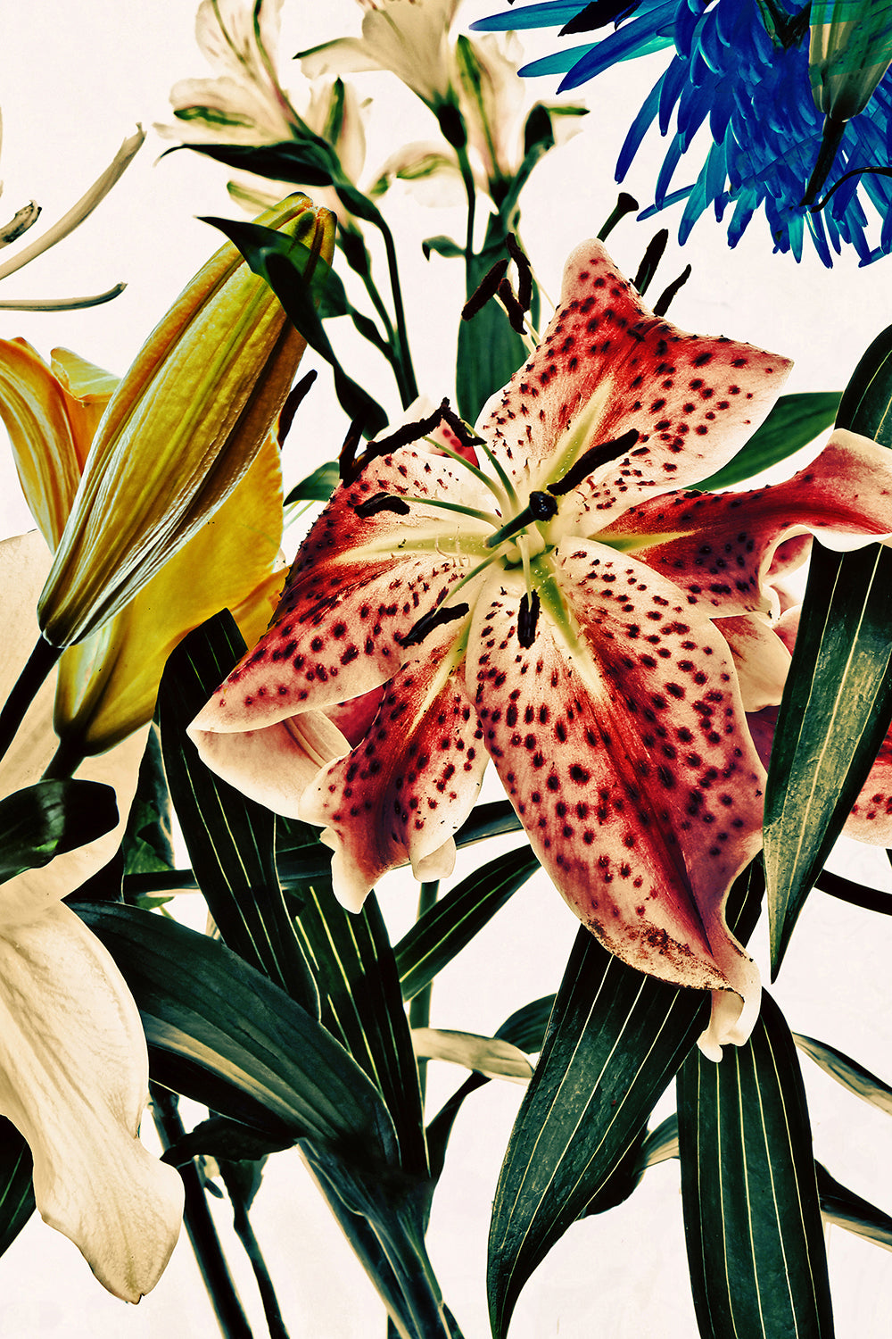 Wild Flowers Triptych 9100.3SET