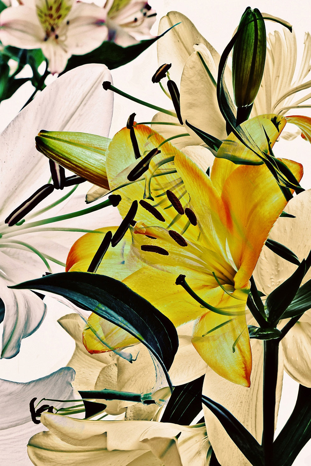 Wild Flowers Triptych 9100.3SET