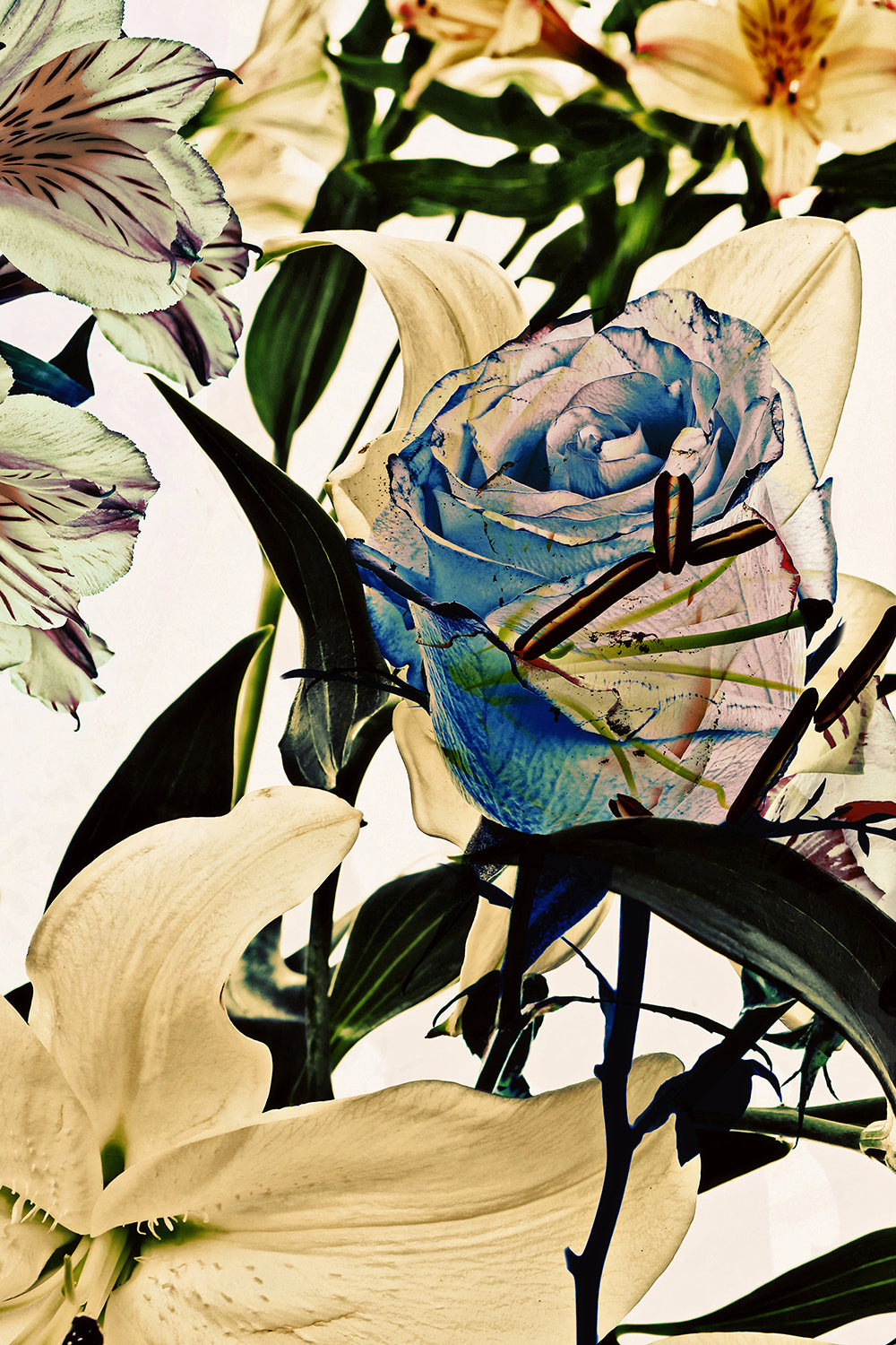 Wild Flowers Triptych 9100.3SET