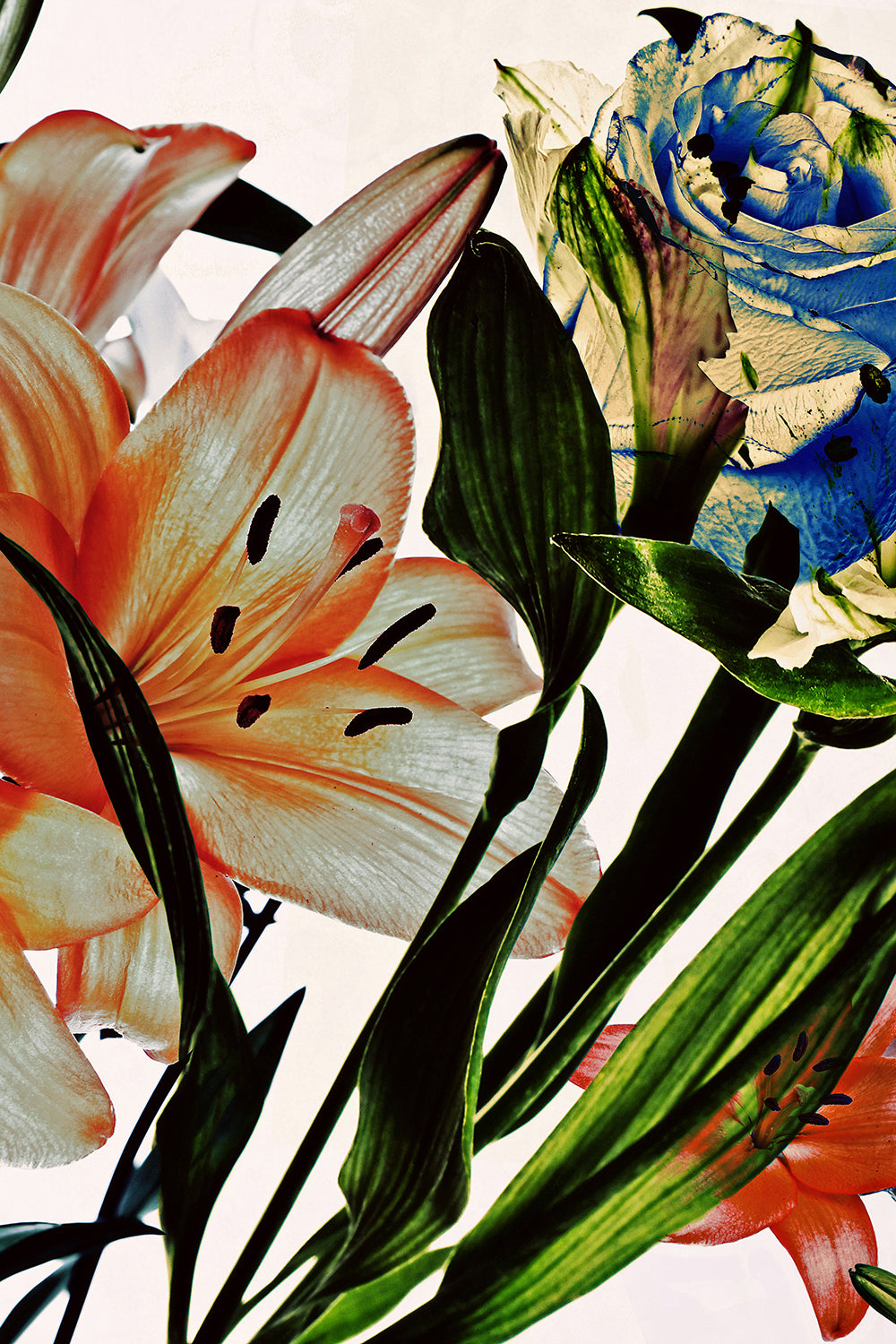 Wild Flowers Triptych 9161.3SET