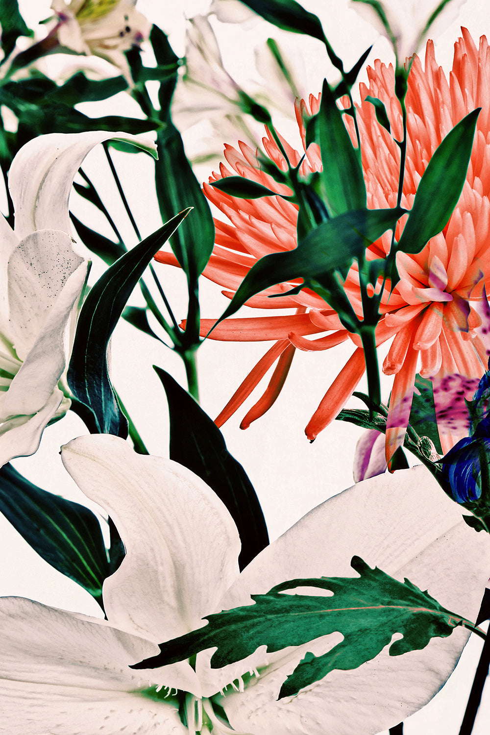 Wild Flowers Triptych 9165.3SET