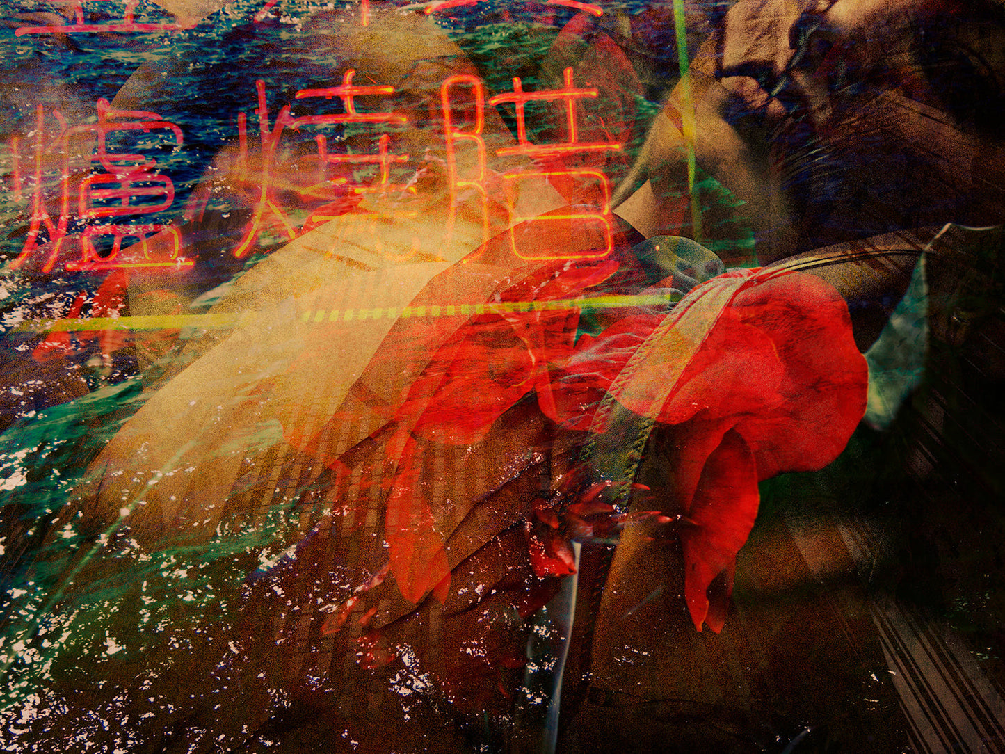 Beautiful Experience # 4037