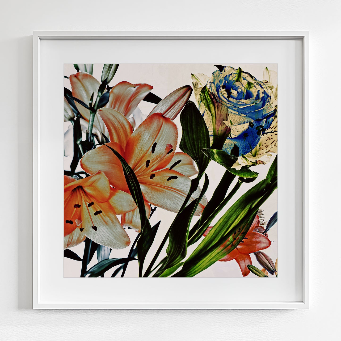 Wild Flowers 9161.B.SQUARE