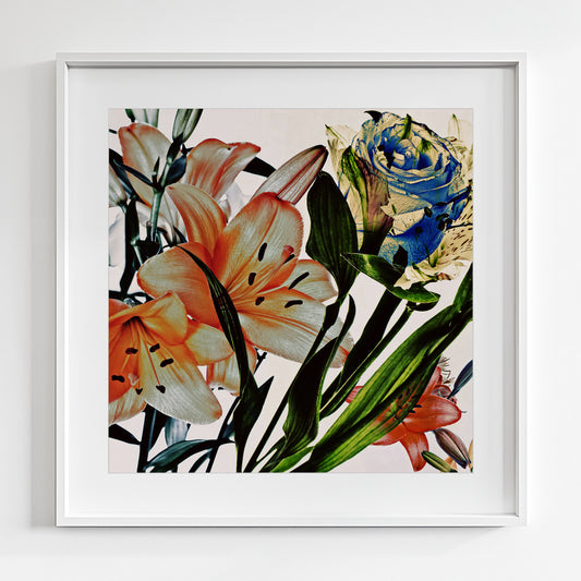 Wild Flowers 9161.B.SQUARE