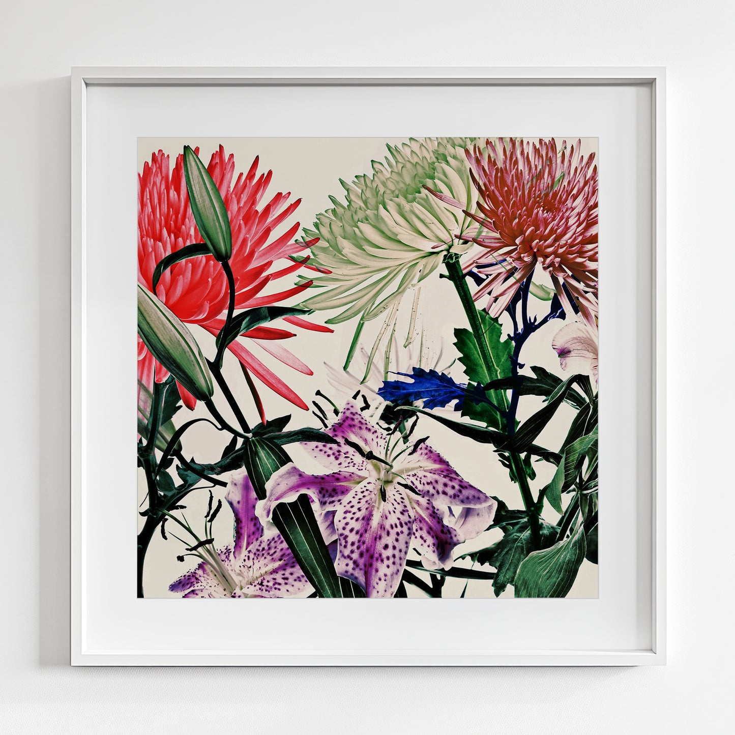 Wild Flowers 9263A.SQUARE